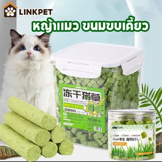 ขนมหญ้าแมว อาหารเสริมแมว ข้าวสาลีอ่อน อบแห้งแท่ง ช่วยขับก้อนขน ลดสำรอก บำรุงฟัน สำหรับลูกแมว