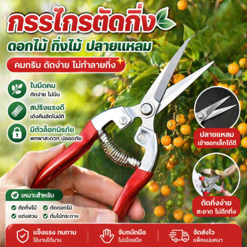 กรรไกรตัดกิ่งสแตนเลส ปลายแหลม ตัดดอกไม้ เก็บผลไม้ได้ เครื่องมือสวน 1 ชิ้น