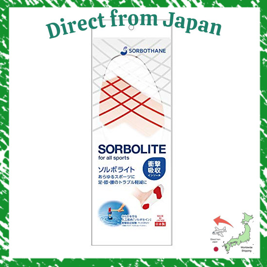 Direct From Japan MIZUNO SORBO Sorbolite J6JYA606052S Dark Gray 2S (22.0–23.0 cm)