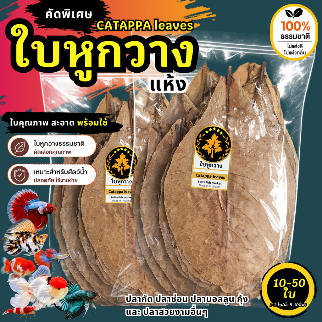 ใบหูกวางแห้ง Catappa Leaves คัดพิเศษ ใบใหญ่ สะอาด พร้อมใช้ 10 ใบ 20 ใบ 50 ใบ สำหรับปลากัด กุ้ง ปลาทอง ปลาสวยงาม