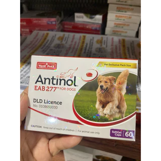 Antinol 60 แคปซูล ของแท้!! แพ็คเกจใหม่ อาหารเสริมบำรุงข้อ ข้ออักเสบ 1 กล่องบรรจุ 60 เม็ด