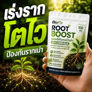 BioFix Root Boost ไมคอร์ไรซ่า 100 กรัม ช่วยป้องกันโรครากเน่าและเสริมการดูดซึมธาตุอาหาร
