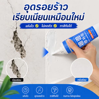 SKY ครีมซ่อมผนัง อุดรอยร้าว โป๊วผนัง ซ่อมรูตะปู ซ่อมปูนแตก แห้งไว 250 กรัม Wall Repair Paste