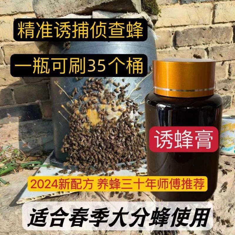 เฟน福利 正เต้ bee ของแท้ ของแท้ ของแท้ Temptation water Nestle Catauine Bait Cream Bee Bait water old n
