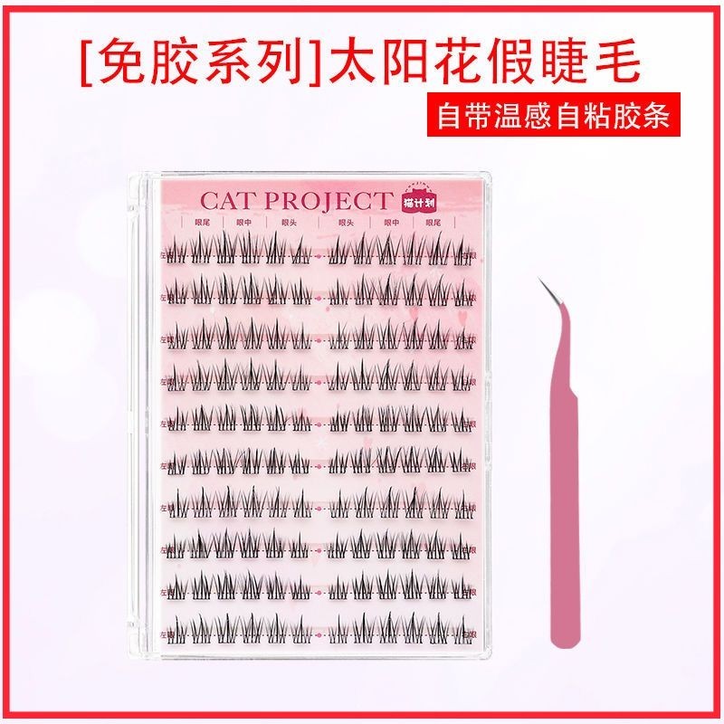 ks1165.th Hairless Glass Glass Glass Glass Glass Glass Glass Glass Glass Glass Glass Glass Glass Gla