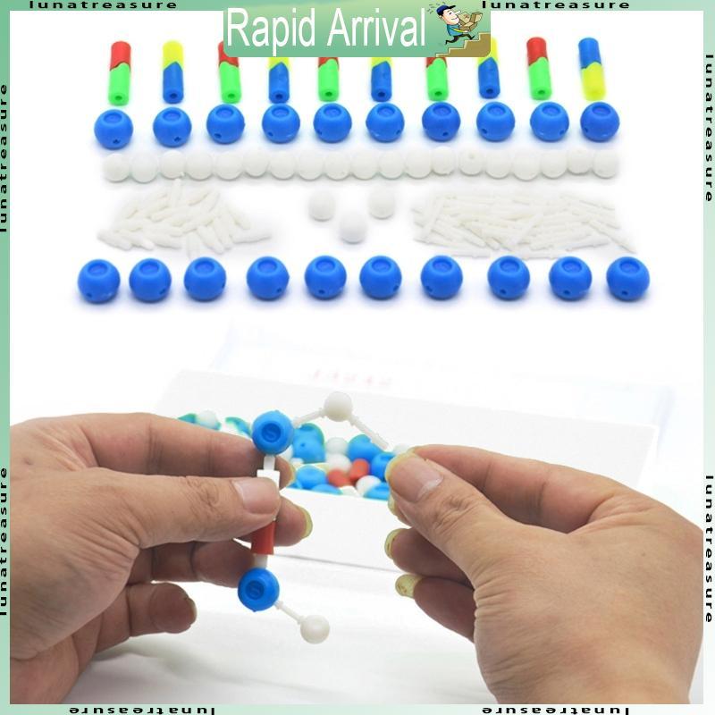 Lun DNA Double Helix Model ช่วยสอนวิทยาศาสตร์ทางชีวภาพสําหรับการประกอบ DNA