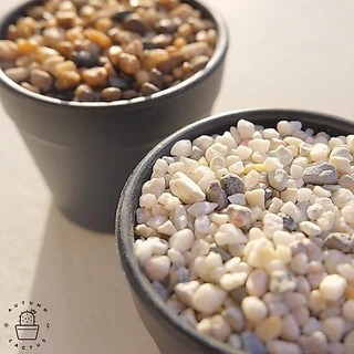 🌊🌑 หินโรยหน้า หินกระบองเพชร หินแกลบ หินแม่น้ำธรรมชาติ บรรจุ 500กรัม 18 บาท 🌊🌑