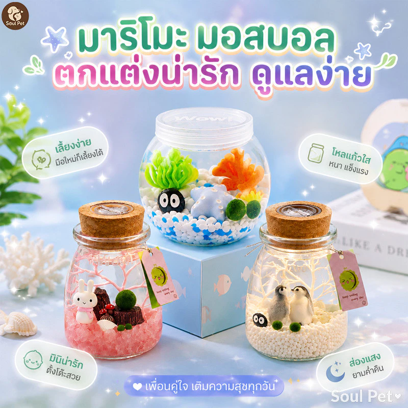 มาริโมะ ชุดขวดเลี้ยง สาหร่ายน้ำ ขวดพลาสติก ของขวัญนำโชค แต่งโต๊ะ ตู้ปลา พืชน้ำ มินิมอล