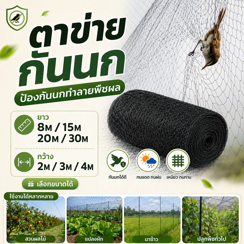 อวนดักนก ดางดักนก ตาข่ายดักนก ไนลอน สีดำ จับนกตาข่ายกันนกเรด้าดักนกมีให้เลือกหลายขนาดป้องกันสวนผลไม้