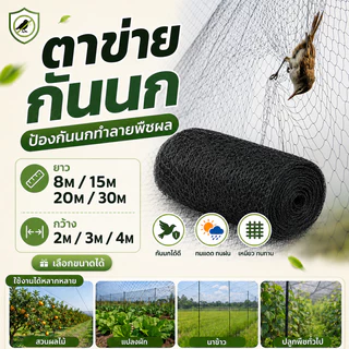 อวนดักนก ดางดักนก ตาข่ายดักนก ไนลอน สีดำ จับนกตาข่ายกันนกเรด้าดักนกมีให้เลือกหลายขนาดป้องกันสวนผลไม้