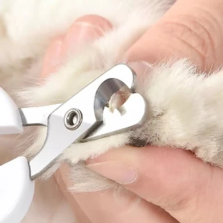 😻🐶 กรรไกรตัดเล็บแมว กรรไกรตัดเล็บสุนัข ป้องกันเลือดออก Pet Nail Clippers
