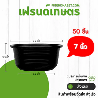 กระถาง ถ้วยจีน ขนาด 5 นิ้ว สีดำ สีขาว สีเทา สีเขียวพาสเทล