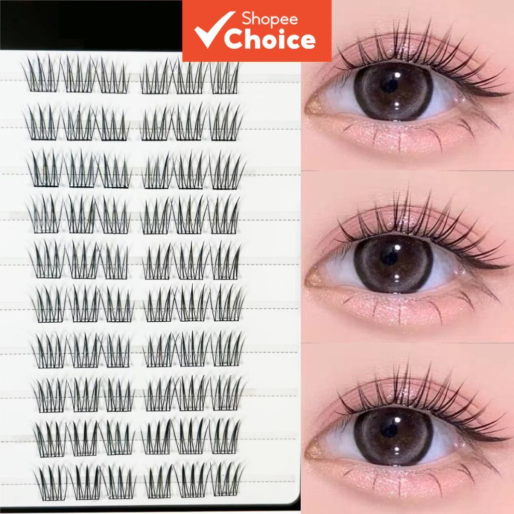ขายร้อน 10 แถวปราศจากกาว Camellia Lashes, Viral Self-Adhesive Segmented, Natural Volume Curl, Beginner Easy Stick