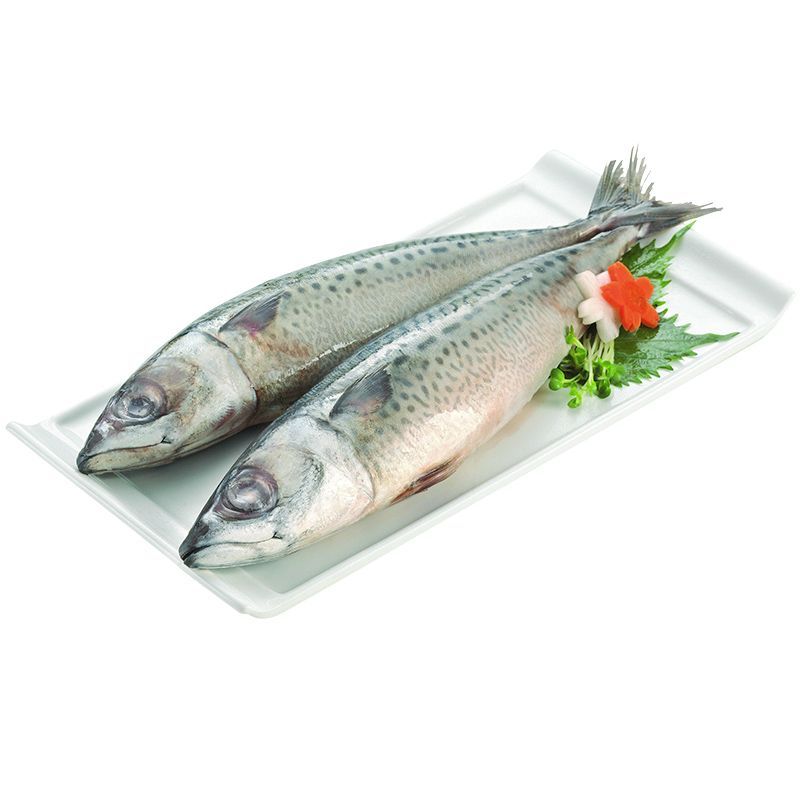 ปลาซาบะขนาด 400ถึง600กรัมต่อตัว Frozen Saba siize 400to600g. per pcs.