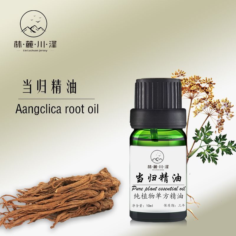 Pure Angelica น้ํามันหอมระเหยพืช Single Prescription Essential Oil Expelling เย็น Warm Palace ปกป้อง