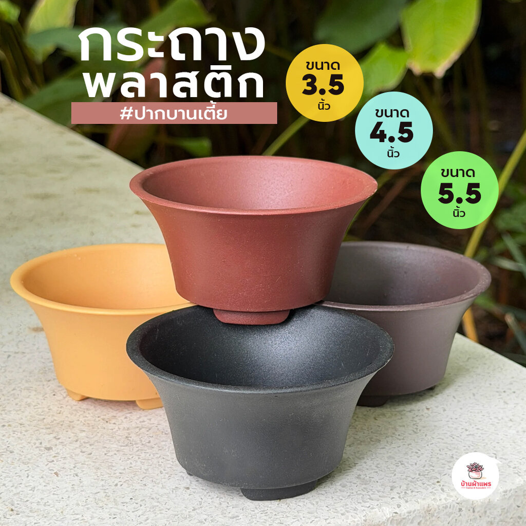 กระถางปากบานเตี้ย กระถางบอนไซ กระถางพลาสติก แคคตัส กระบองเพชร ไม้อวบน้ำ Cactus&Succulent