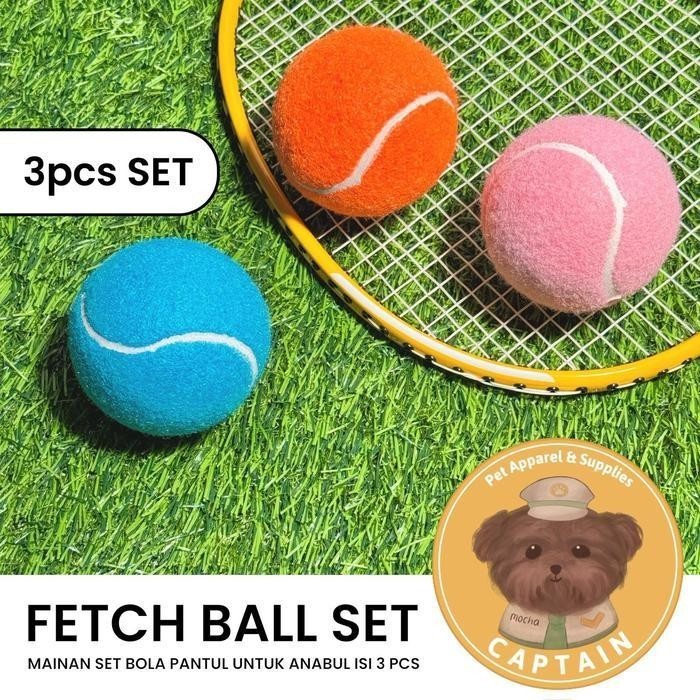 [31] FETCH BALL SET 3PCS DOG TOYS PAWPEEPOO PET TRAINING BALL