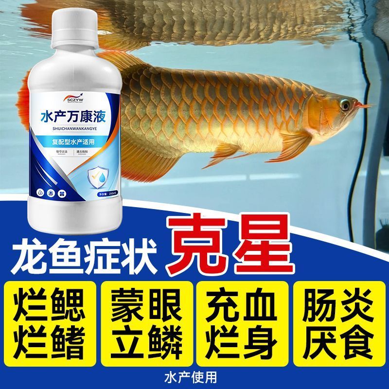 Arowana Rotten Gills Rotten Fin Standing Scales Blindfolded Eyes บรรจุเลือดเน่าลําไส้อักเสบปลาประดับ
