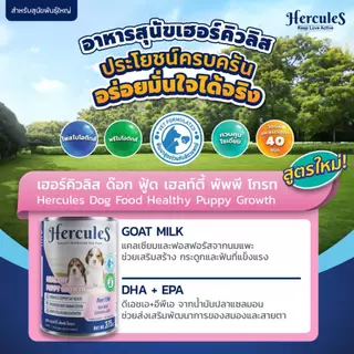 Hercules เฮอร์คิวลิส อาหารเปียกสุนัขกระป๋อง เกรดพรีเมียม สำหรับลูกสุนัข และสุนัขโต 1 ปีขึ้นไป ขนาด 400 กรัม