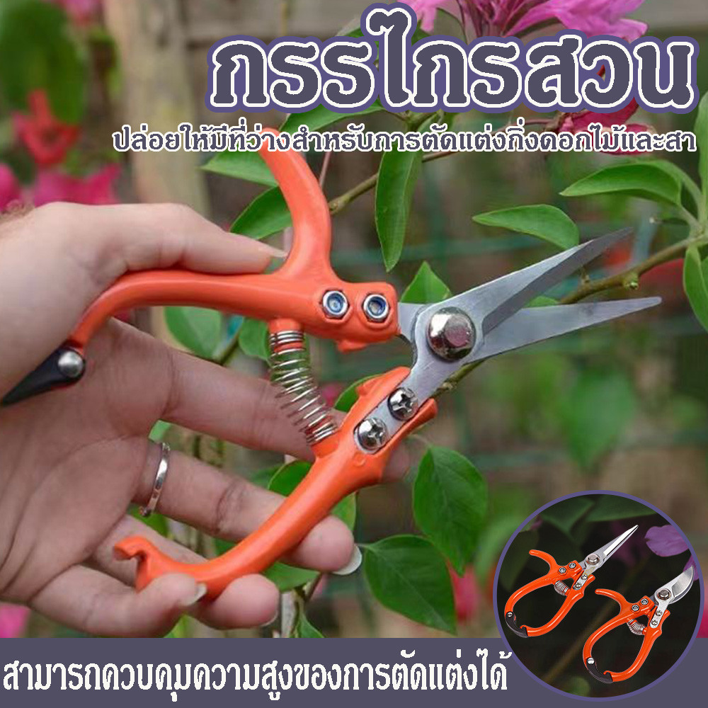 HL No.565-6.1/2" Solo โซโล กรรไกรปากตรงตัดกิ่งไม้