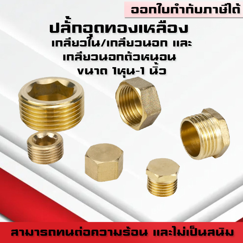 ปลั๊กอุดทองเหลือง แบบฝาปิดทองเหลือง เกลียวใน/เกลียวนอก/เกลียวนอกตัวหนอน ขนาด 1/8(1หุน) -1 นิ้ว