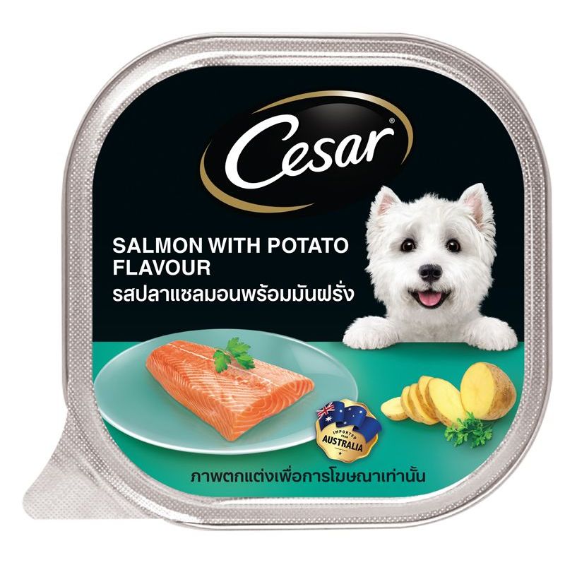 ซีซาร์สุนัขโตรสแซลมอนและมันฝรั่งอาหารสุนัขชนิดเปียกแบบถาด100กรัม Cesar Sal Potato 100g [หมายเลขบาร์โค้ด 4902397822202 ]