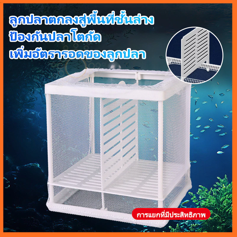 กล่องตาข่ายแยกปลา แยกปลาป่วย ลูกกุ้ง กล่องฟักไข่ปลา thumbnail 3