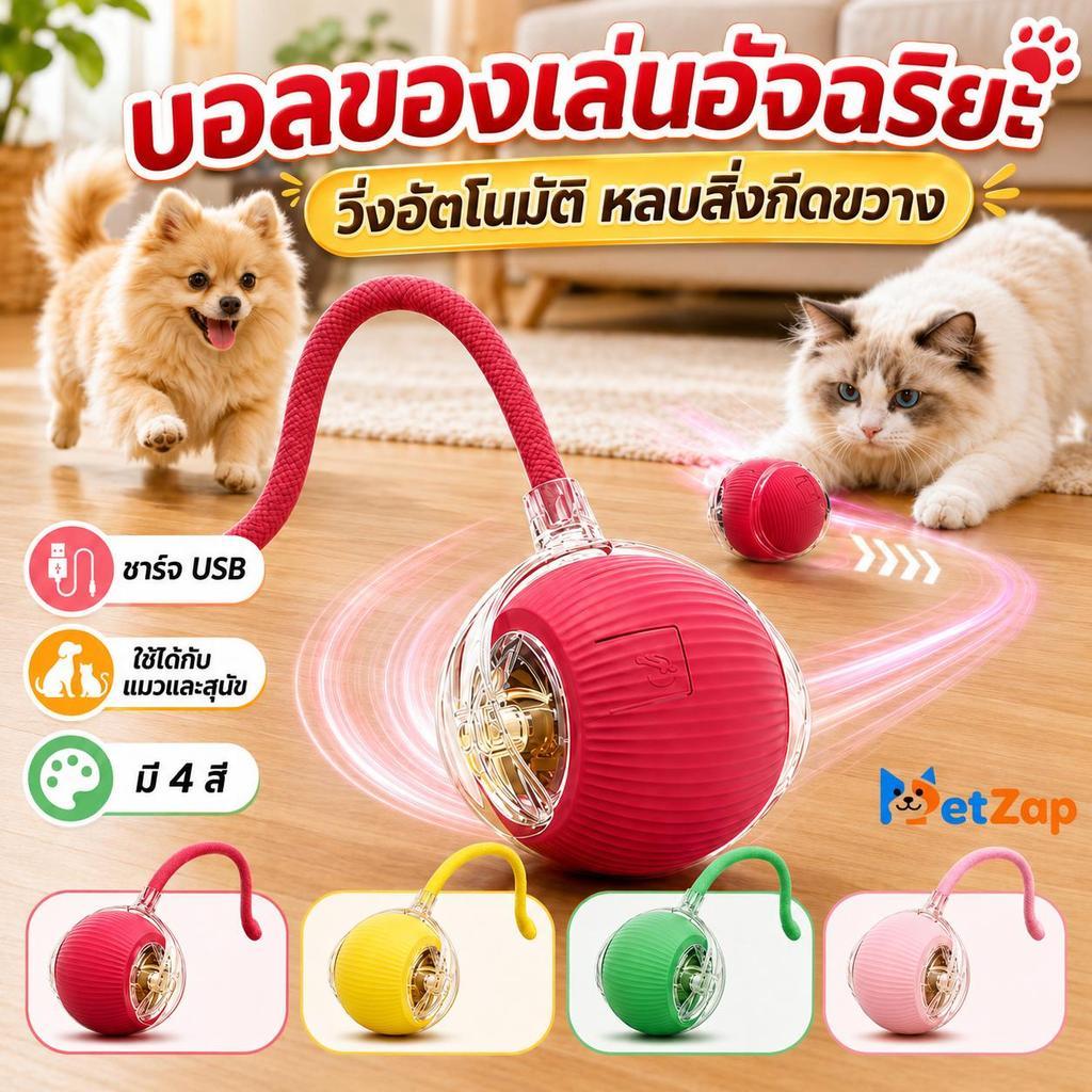 【PetZap】พร้อมส่ง COD บอลล่อแมวอัจฉริยะ ของเล่นแมวไฟฟ้า กลิ้งอัตโนมัติ แมวเล่นเองได้ ของเล่นสัตว์เลี้ยง CW-017