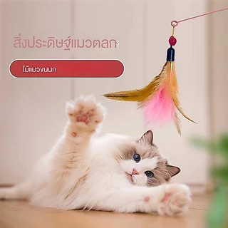 ของเล่นแมว ไม้ตกแมว แบบสปริง ไม้ล่อแมว แบบลวดสลิง ไม้แมว