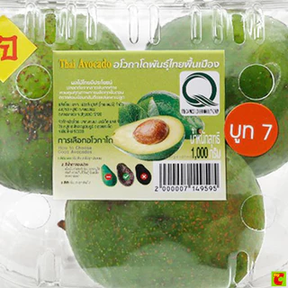 อโวคาโดพันธุ์ไทยพื้นเมือง 1000 ก.