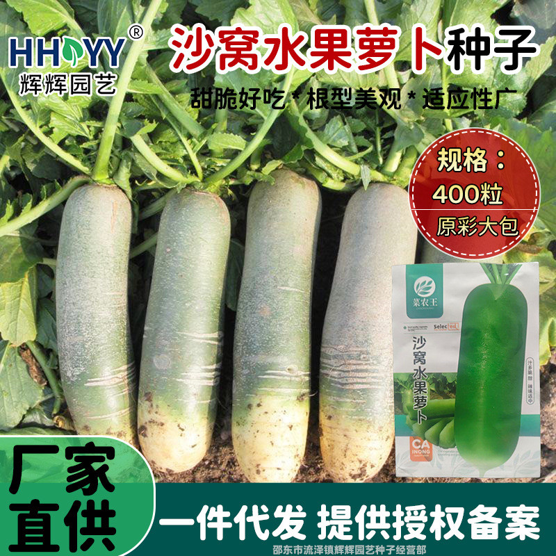 现货热卖沙窝水果萝卜种子萝卜籽青萝卜种子甜脆绿瓤秋季播种蔬菜种子Shawo fruit radish seeds, radish seeds, green radish variety20260726