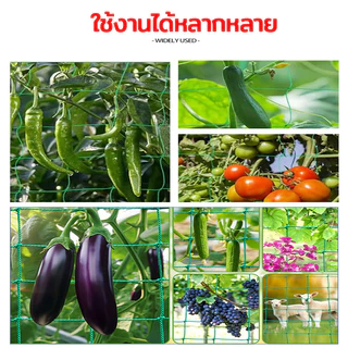 คุณภาพดี ตาข่ายสำหรับพืชไม้เลื้อย ทนทาน น้ำเต้า แตงกวา ตาข่ายปลูกผัก