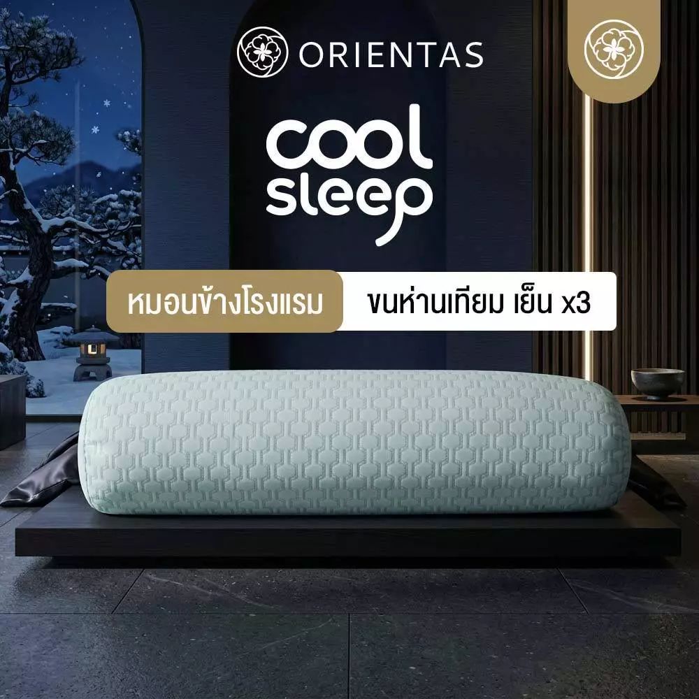 ORIENTAS Cool Sleep หมอนข้างโรงแรม เย็น x3 ใยขนห่านเทียม Arctic touch ลดอุณหภูมิได้สูงสุด 2°C