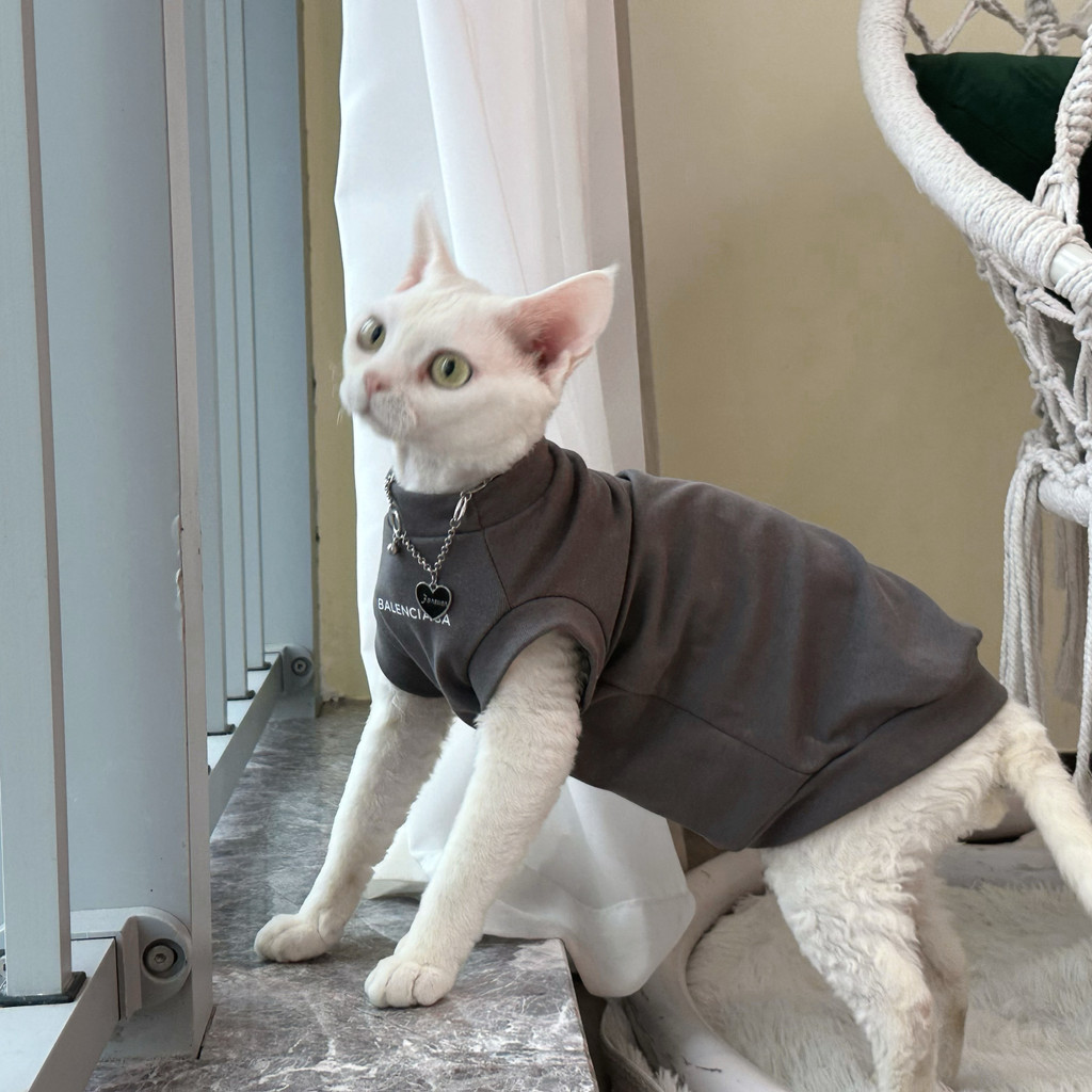 Y · H {American Retro Letter Printing} เสื้อยืดแขนกุด Sphinx Woolless Cat Clothes German Yonghe