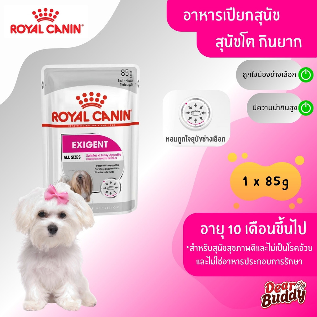 Royal Canin รอยัลคานิน Exigent Loaf อาหารเปียกสุนัข สุนัขโต ช่างเลือกอาหาร ทานยาก ชนิดเปียก ยกกล่อง 12 ซอง