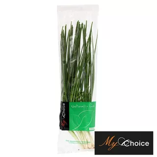 มายช้อยส์ต้นหอม My Choice Spring Onion [หมายเลขบาร์โค้ด 0000020918057 ] สินค้าคุณภาพดี คัดสรรอย่างตั้งใจ