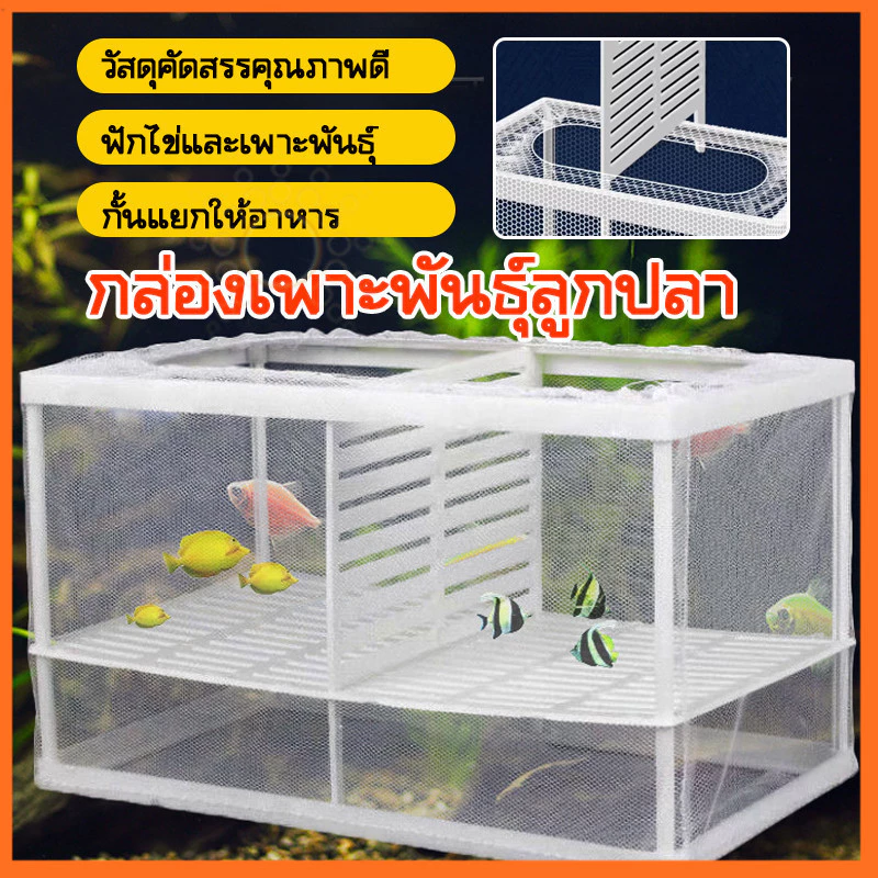 กล่องตาข่ายแยกปลา แยกปลาป่วย ลูกกุ้ง กล่องฟักไข่ปลา thumbnail 5