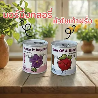 ชุดปลูกพืชในกระป๋อง | 15 สายพันธุ์ | ปลูกง่าย มือใหม่ก็ปลูกได้