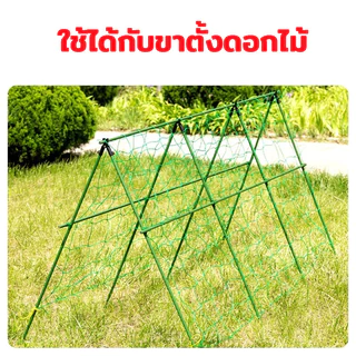 คุณภาพดี ตาข่ายสำหรับพืชไม้เลื้อย ทนทาน น้ำเต้า แตงกวา ตาข่ายปลูกผัก