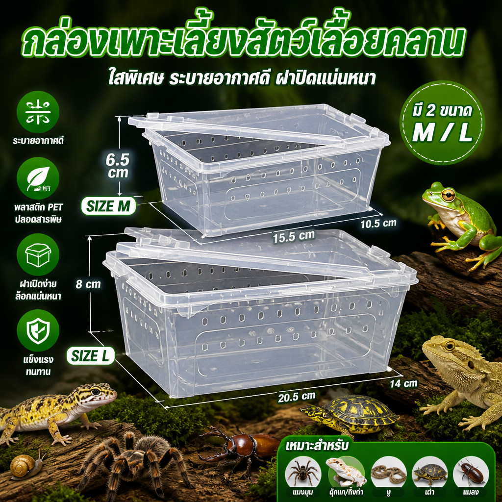 กล่องเลี้ยงสัตว์เล็ก สัตว์เลื้อยคลาน M/L มีรูระบายอากาศ งู กบ แมลง ปลา สัตว์เลื้อยคลาน Reptile Box