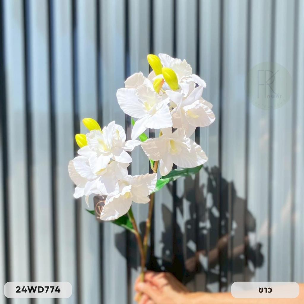 กล้วยไม้ 2 กิ่ง 11 ดอก หน้าดอก 10-12 cm. สูง 68 cm. ราคา ถูกที่สุด ดีลบีเคเค แกลเลอรีภาพที่ 7