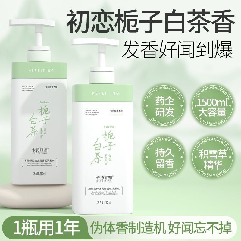 Peking University R & D x Kashe Feiting Centella Asiatica Shampoo Oil Control Volumizing AntiDandruf