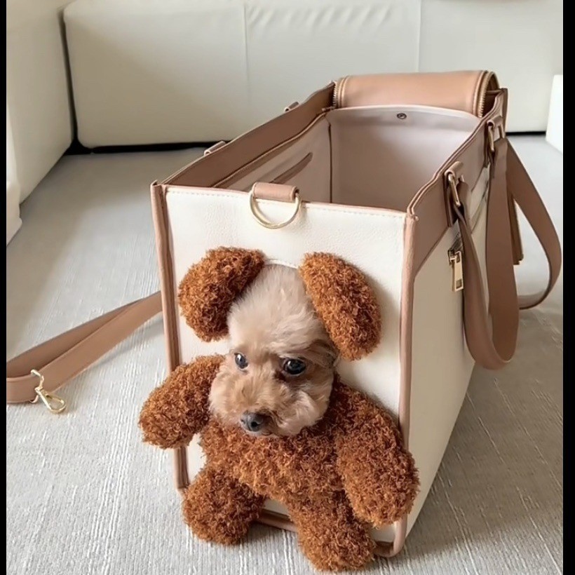 [พร้อมส่ง] กระเป๋าสัตว์เลี้ยง (โผล่หัวได้) กระเป๋าสะพายข้าง หมา / แมว ระบายอากาศ ไม่อึดอัด น้ำหนักเบา ถือได้ / สะพายไหล่