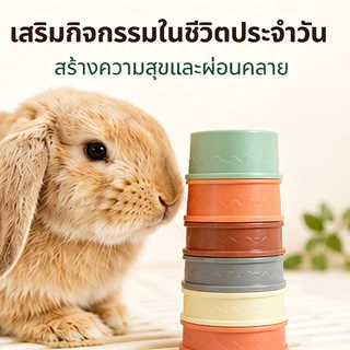 🐰ของเล่นกระต่าย ถ้วยซ้อนสําหรับกระต่าย ปลดปล่อยพลังงาน เพิ่มความสนุก วัสดุความปลอดภัย