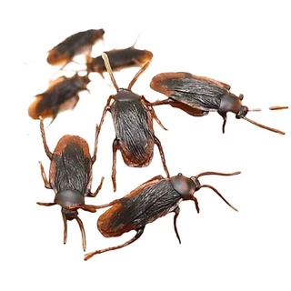 แมลงสาบปลอม ของเล่น เหมือนจริงที่สุด แกล้งคน เล่นกับแมว โมเดลสัตว์ Cockroach