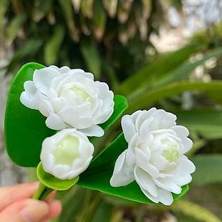 ดอกไม้ติดผม ดอกไม้ดินประดิษฐ์ ดอกมะลิจิ๋ว