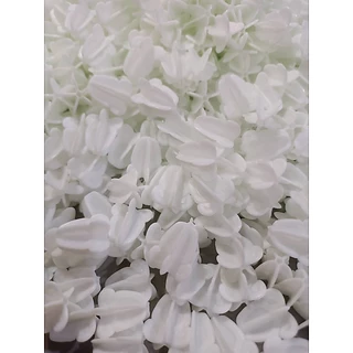ดอกรัก ดอกรักปลอมสีขาวอมเขียวเสมือนจริง (ดอกรักอย่างดี 750 ดอก ราคาแค่ 69 บาท) พร้อมส่ง เกรดA สวยทุกดอกมีรูร้อยง่าย