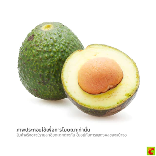 อโวคาโดพันธุ์ไทยพื้นเมือง 1000 ก.