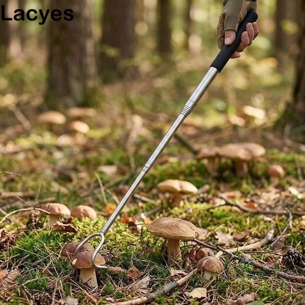 LACYES 1 ชิ้น/2 ชิ้นเครื่องมือหยิบเห็ดแบบยืดไสลด์, Retractable Compact เห็ด Foraging Picker, Telescopic ปรับยาวมือสแตนเลส Reaching Aid ผจญภัยกลางแจ้ง