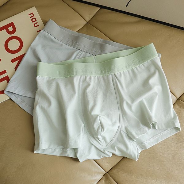 2026 สินค้าใหม่ชุดชั้นในชาย Modal Cotton Antibiotic Boxer ผู้ชาย Breathable Boxer ผู้ชายสบายเยาวชนกา